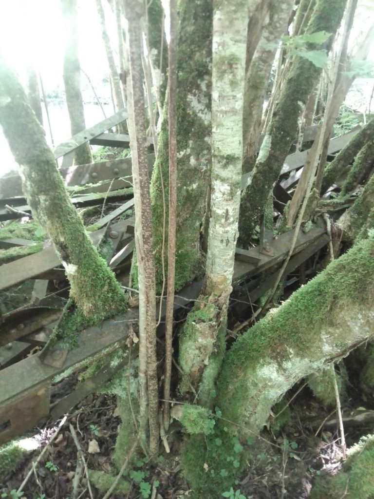 Allant Vers, Café compost