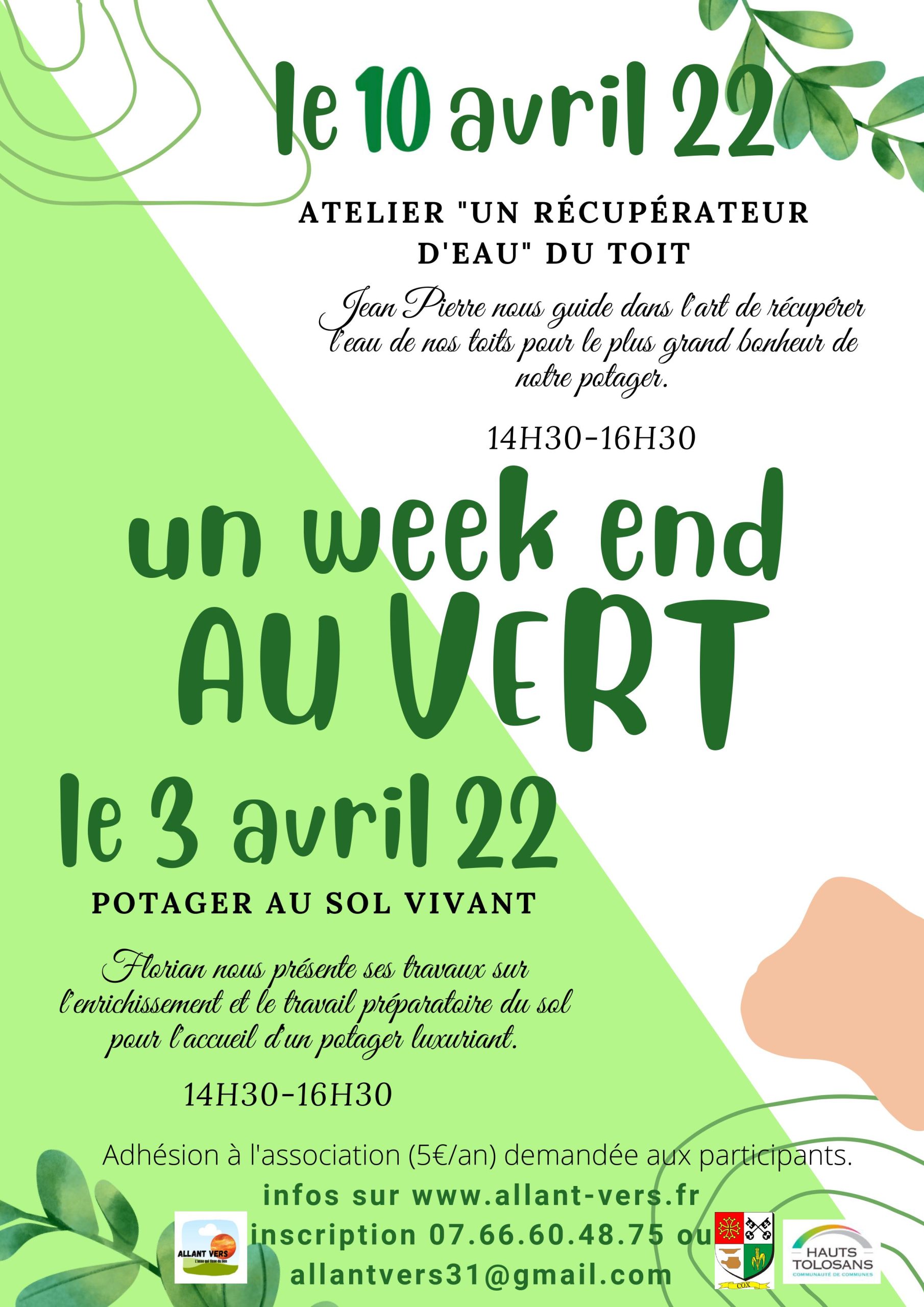allant vers potager au sol vivant
