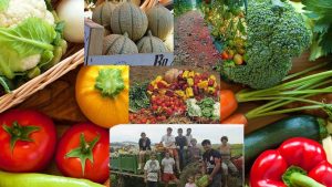 Allant Vers, FERME MARTY EARL LE PLAN