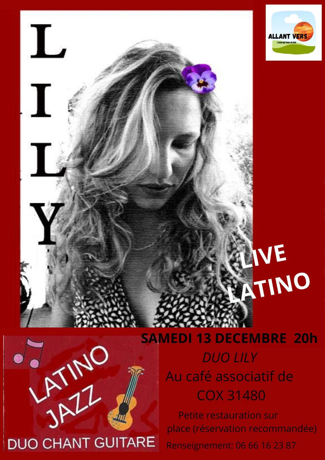 Allant Vers, Affiche Concert Duo LILY